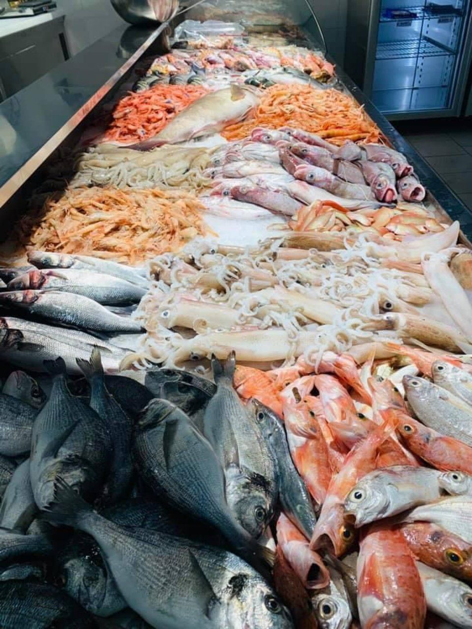 esposizione pesce