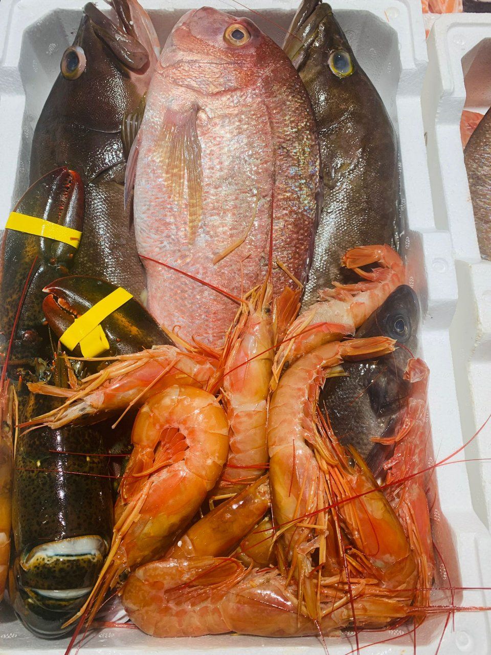 pesce appena pescato