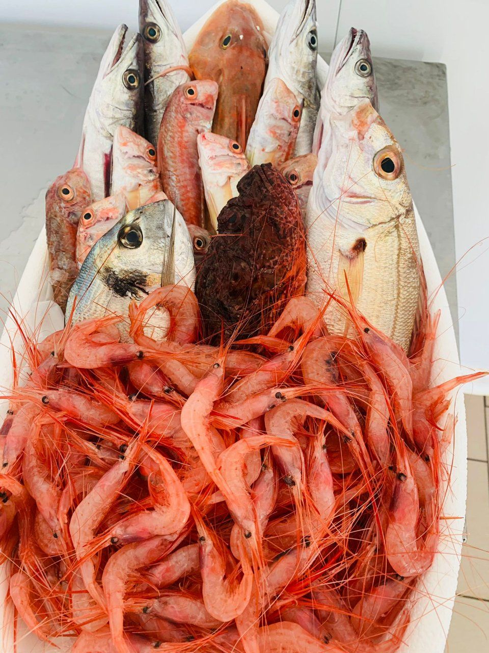 pesce crudo