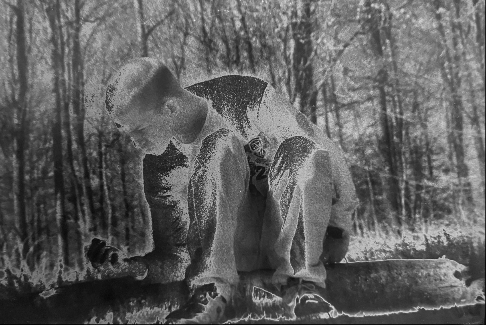 Person kneeling in a forest, reaching toward a small animal near a log, with trees in the background