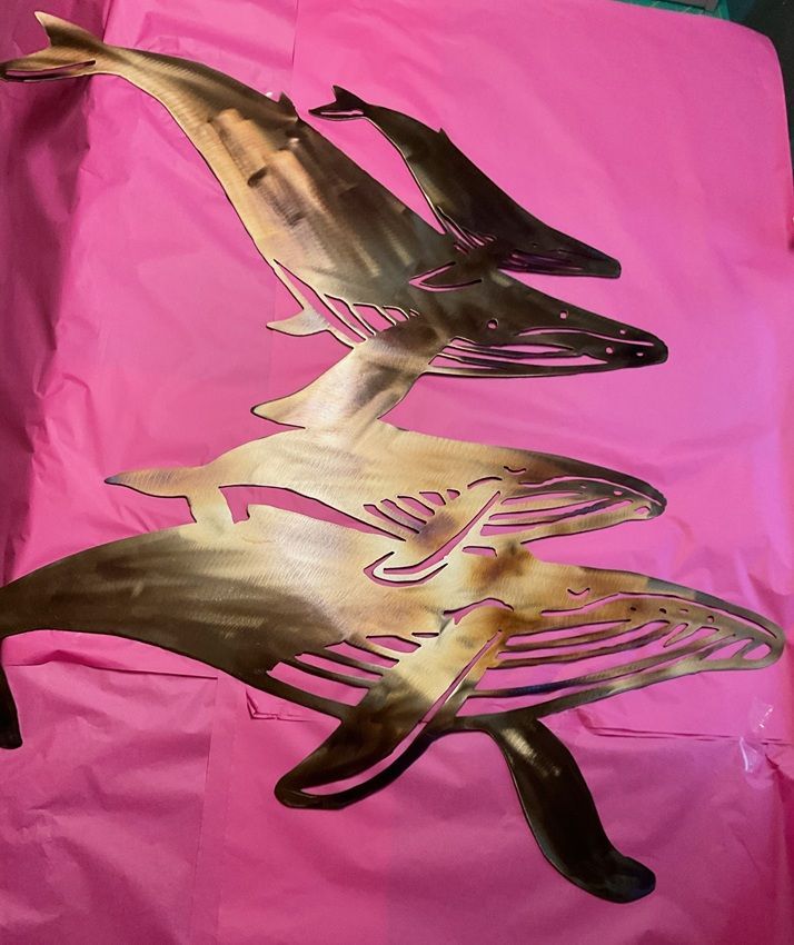 Brown and black fish graphic on a bright pink background