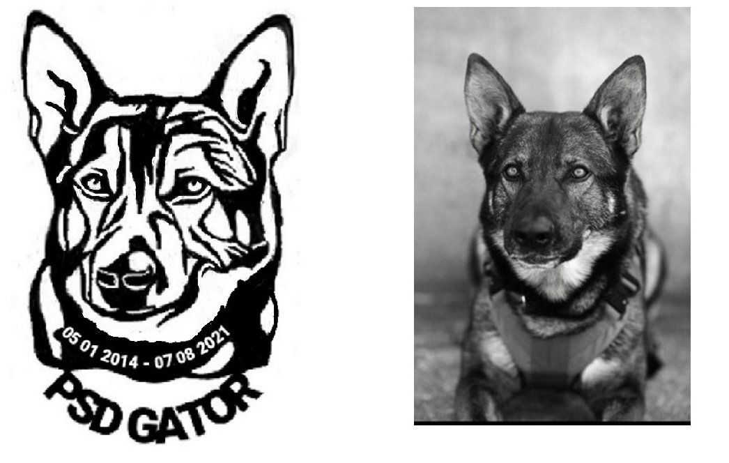 Black-and-white dog mascot logo beside a grayscale photo of a dog sitting facing forward