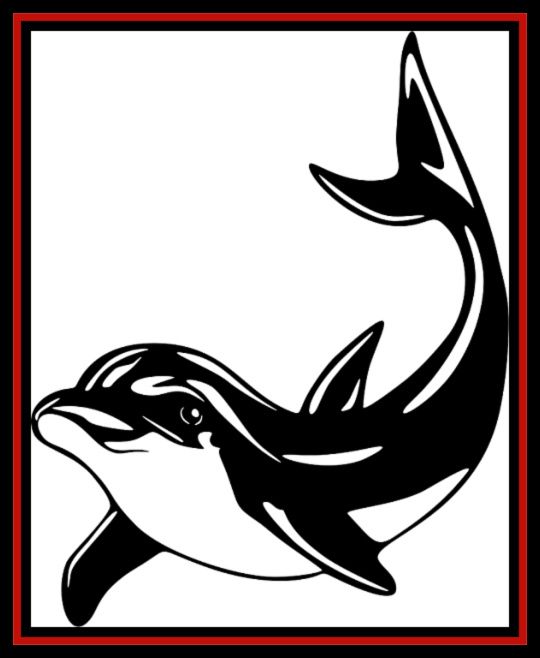 Black-and-white dolphin logo inside a red-bordered square, leaping upward