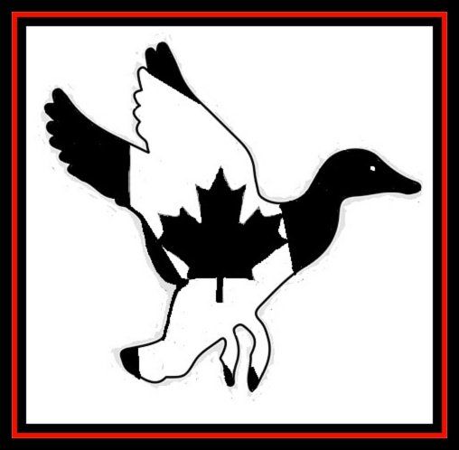 Black-and-white flying duck silhouette with a maple leaf on its body, framed by a red border