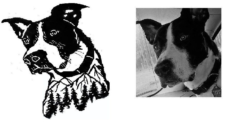 Black-and-white sketch beside a grayscale photo of a black-and-white dog with a spotted face and collar