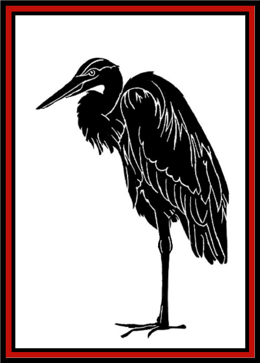 Black heron standing in profile on a white background with a red border.