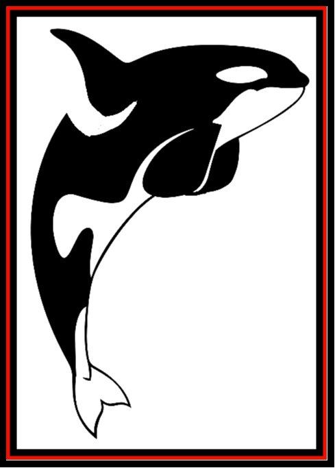 Black-and-white orca illustration framed by a red and black border.