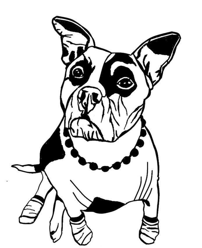 Black-and-white sketch of a small dog with a beaded necklace and bandaged paws, facing forward.