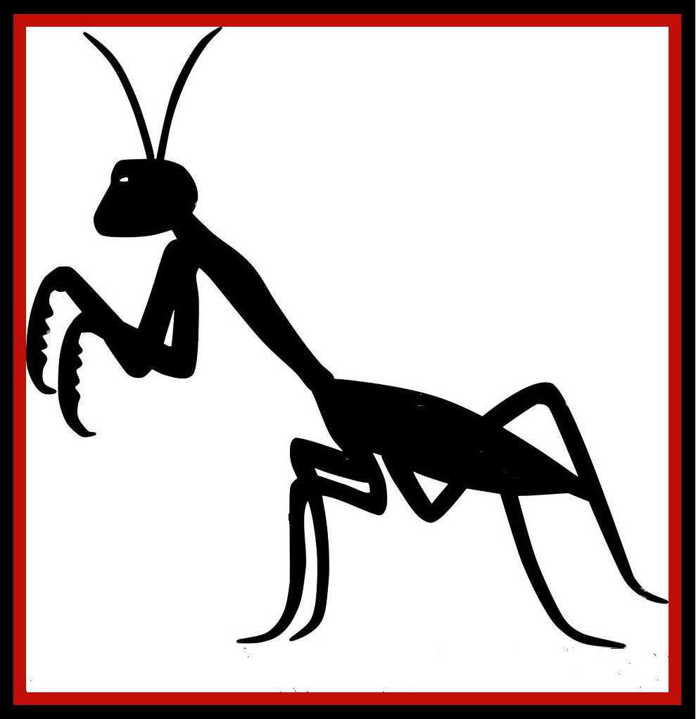 Black silhouette of a praying mantis on a white background with a red border