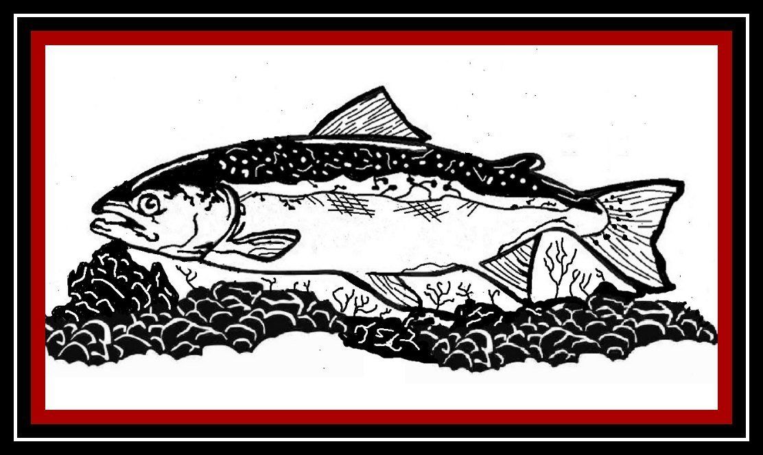 Black-and-white fish illustration above a pile of rocks, framed by a red and black border.