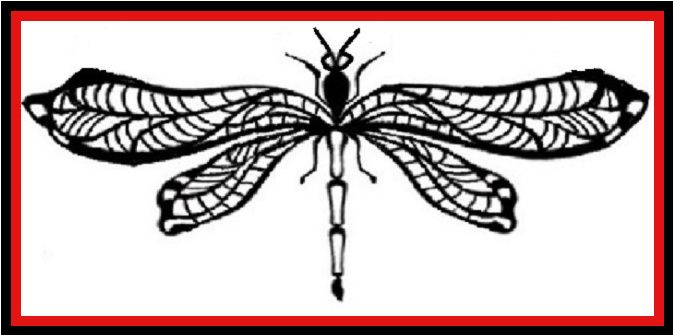 Black-and-white dragonfly illustration with a red border on a white background