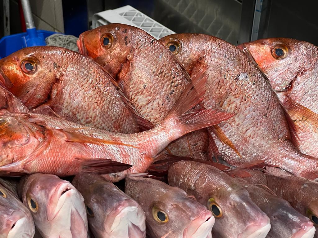 pesce