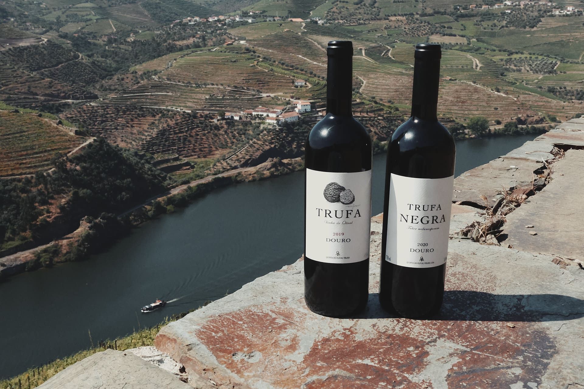 Quinta do Olival Velho