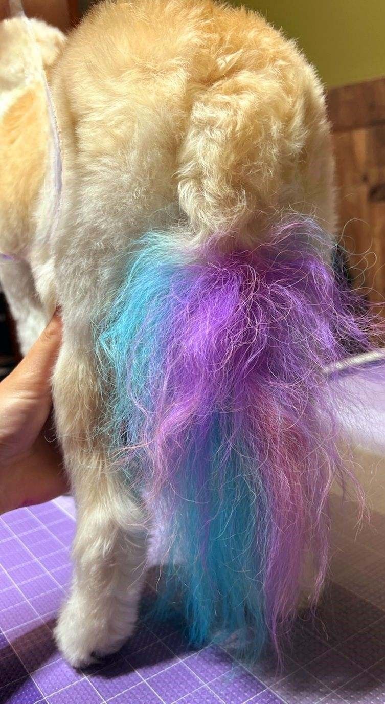 A person is holding a piece of purple and blue hair.