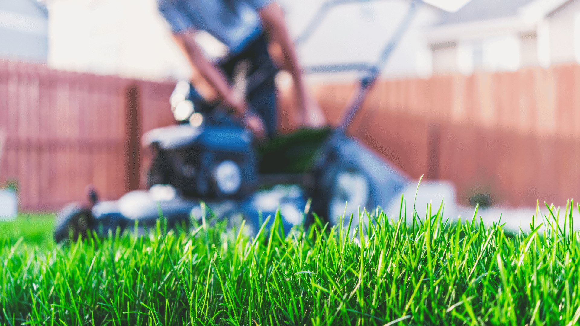 garden work cleaning
