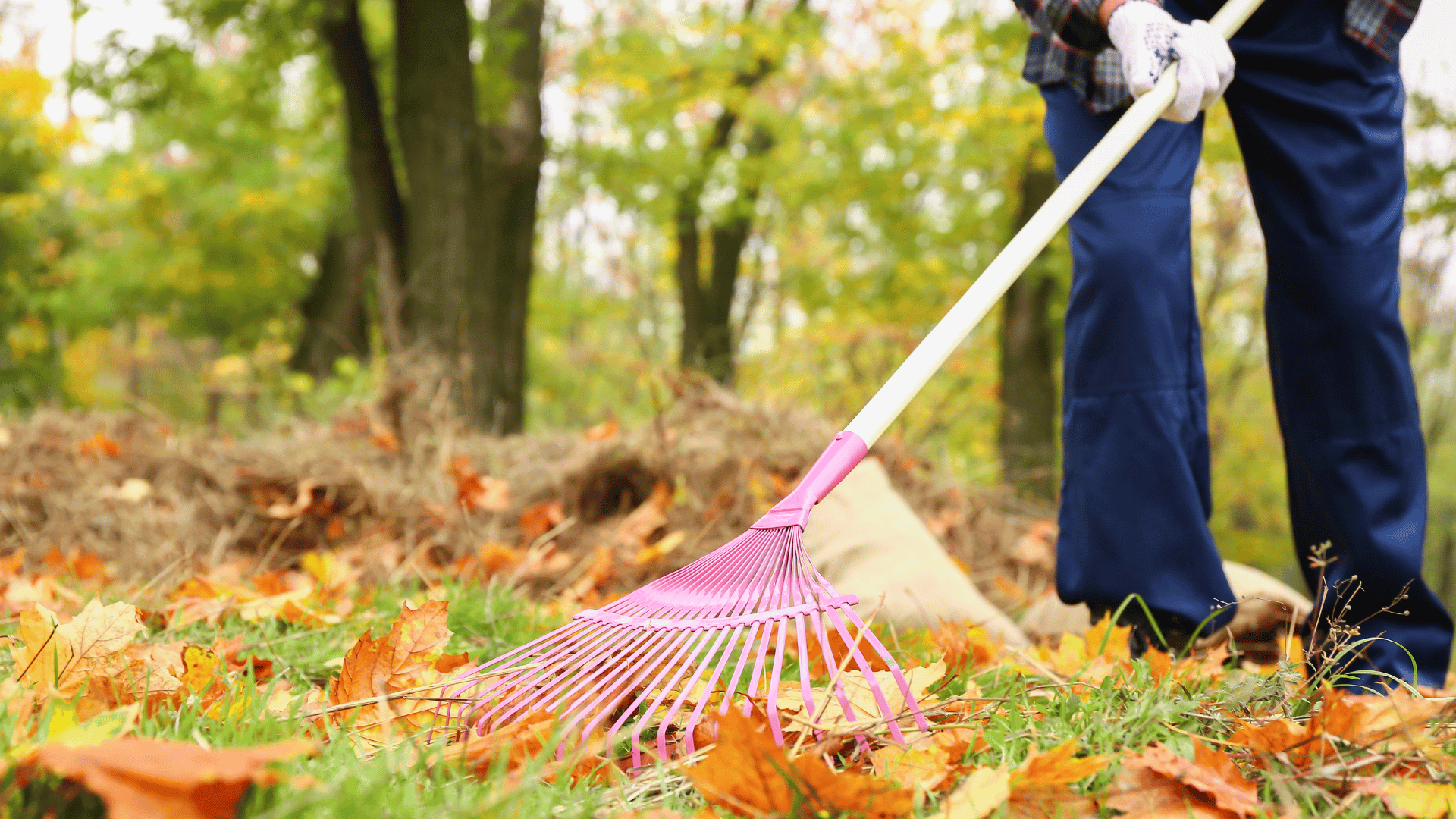 Yard works