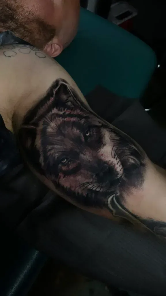 Close-up of a wolf face tattoo on a person's upper arm. Black and gray shading, showing fur detail and attentive eyes.