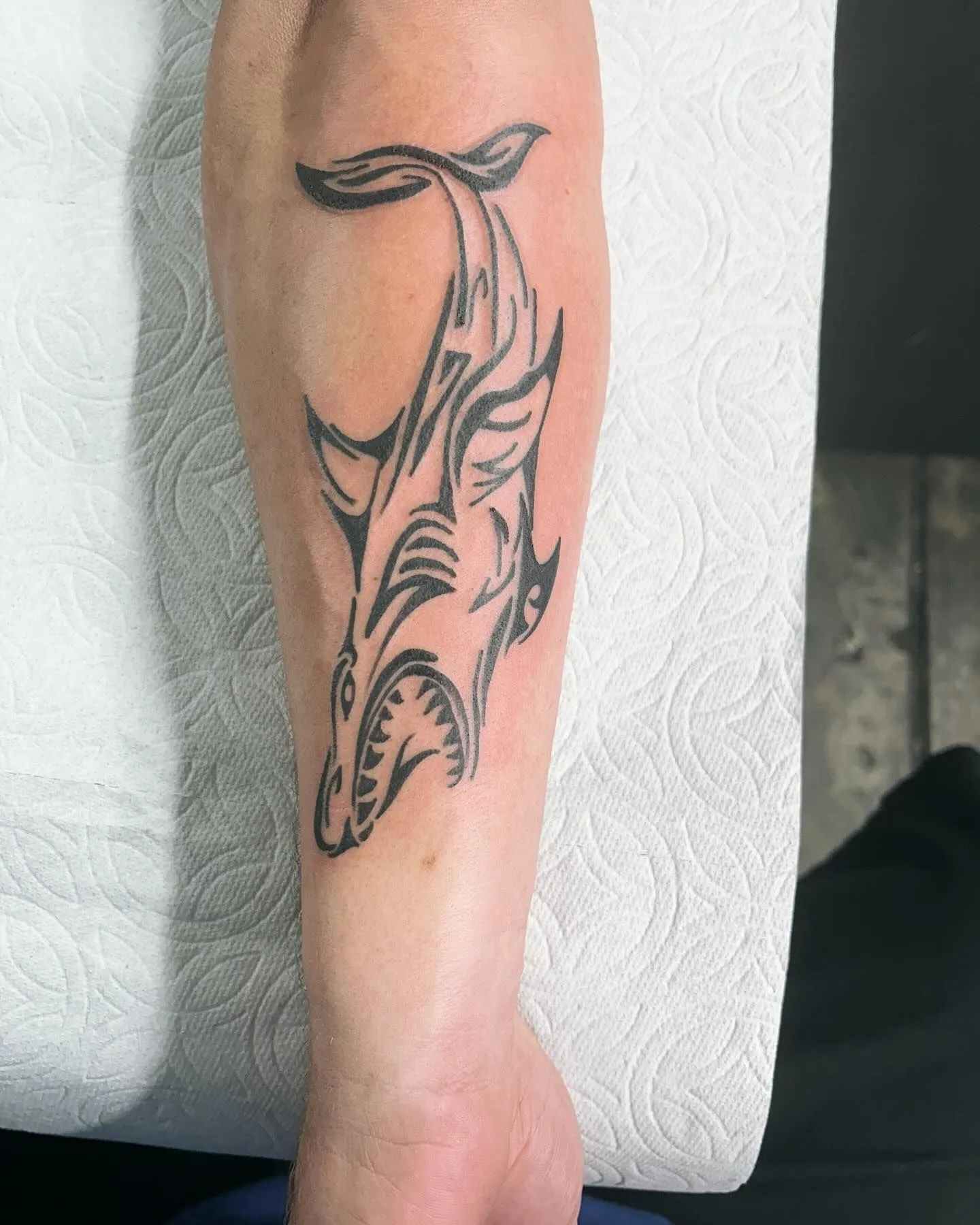Black tribal dolphin tattoo on a lower leg against a light textured background