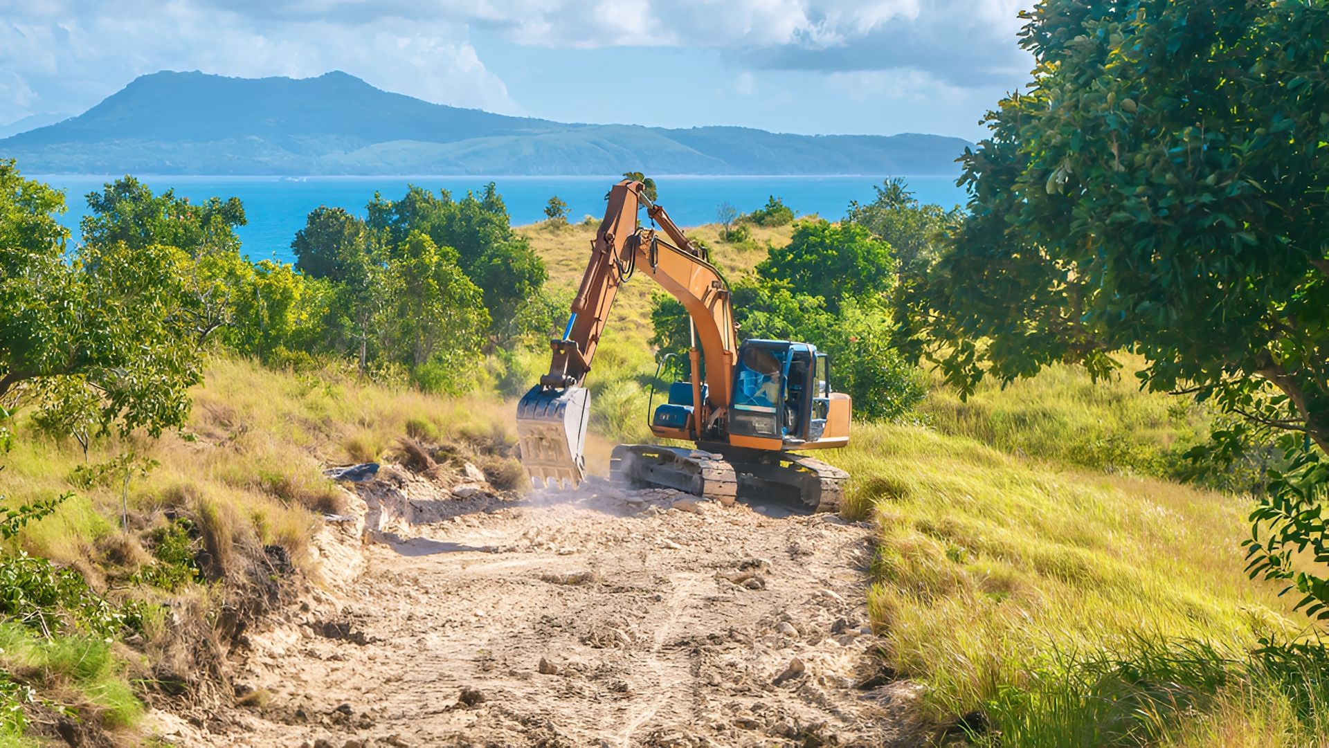 A Yellow Bulldozer Sits on a Dirt Path Between Birch Trees — GPE Plumbers In Kendall, NSW