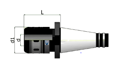 Schema tecnico in vista laterale di un utensile cilindrico nero e argento con le misure etichettate d, d1 e L.
