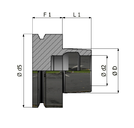 Disegno tecnico in sezione trasversale di un componente cilindrico nero e grigio con le misure del diametro etichettate F1, L1, D1 e D2.