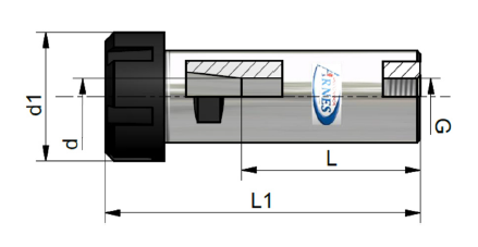 Schema tecnico di un dispositivo cilindrico con le dimensioni indicate d1, d, L, L1 e G.
