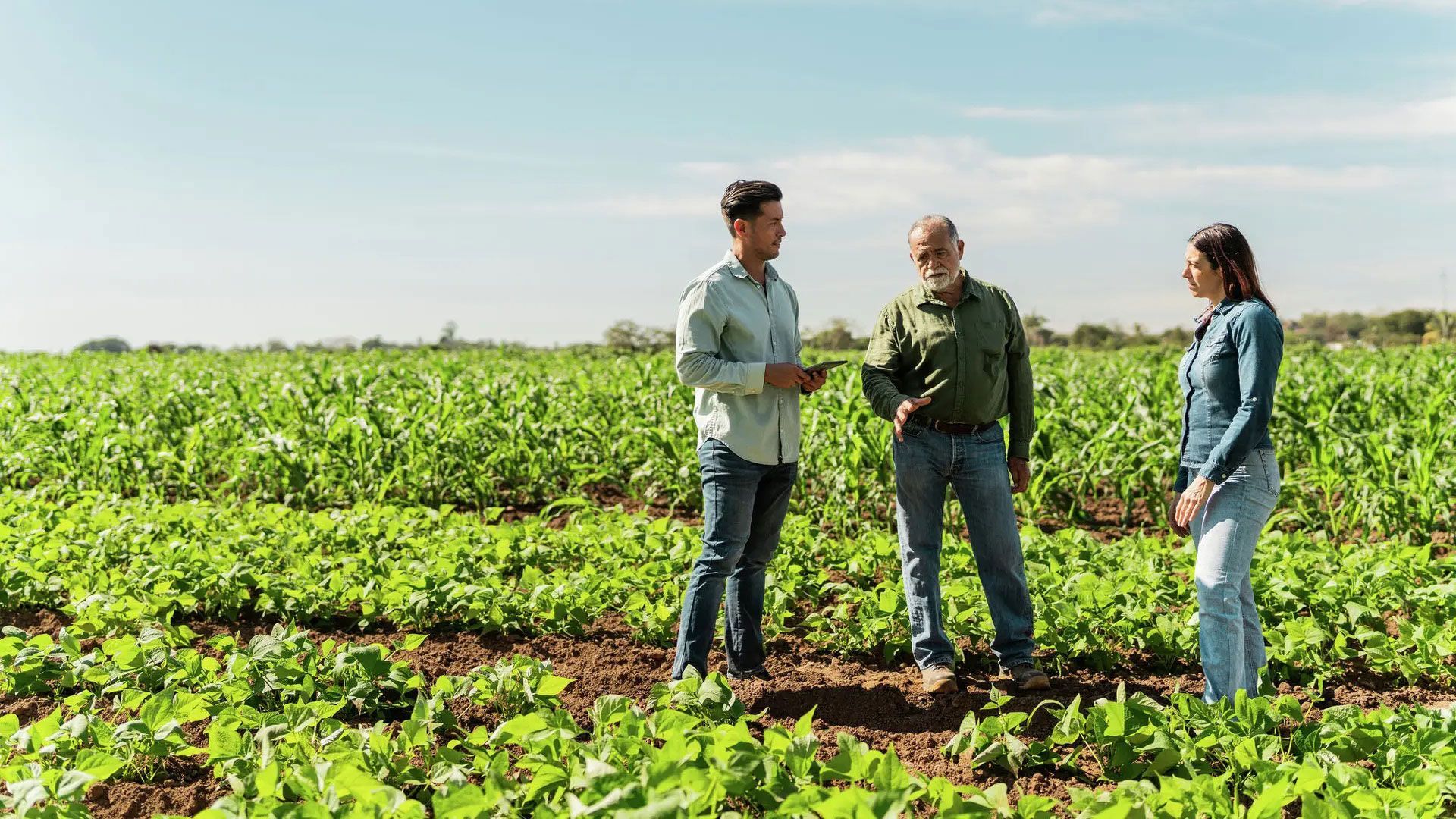 Aziende agricole
