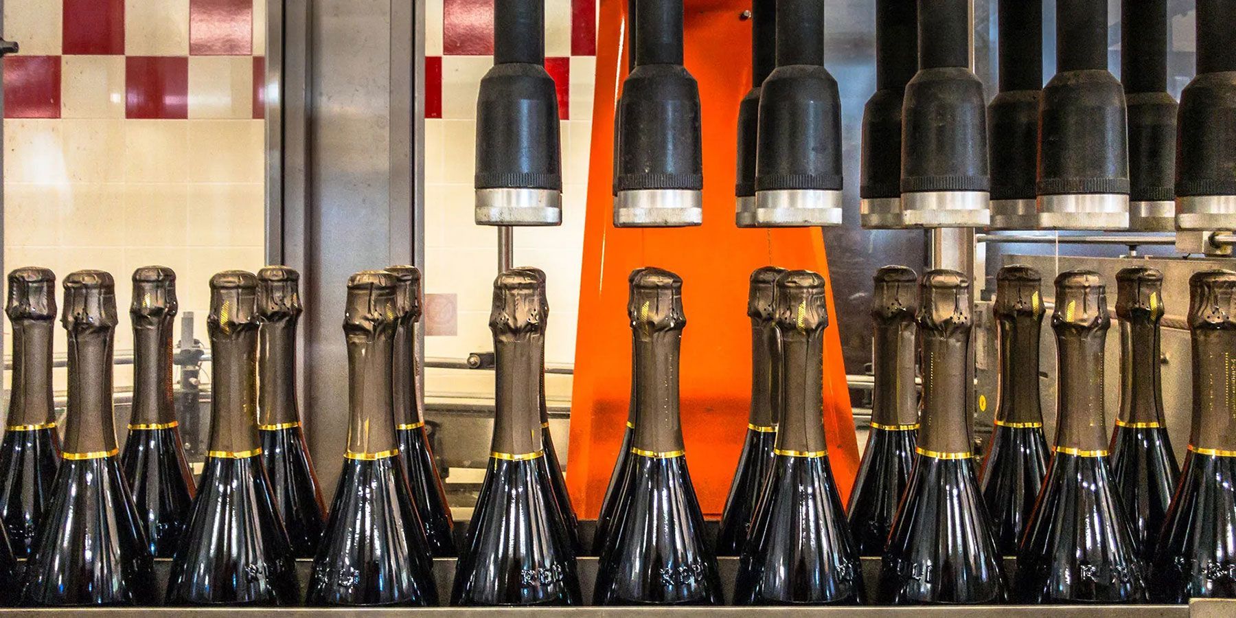 produzione Prosecco DOC