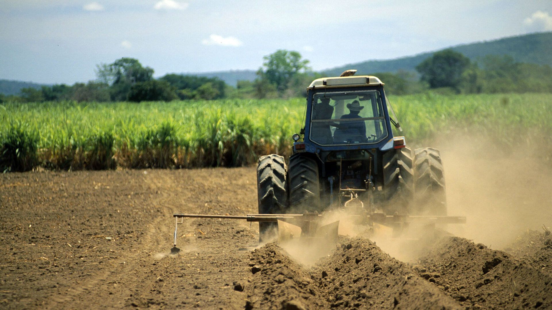 Diritto agrario