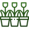 A green line-art icon of three potted tulip plants side-by-side.