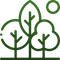 A green, minimalist line art icon depicting a small grove of three stylized trees under a sun.
