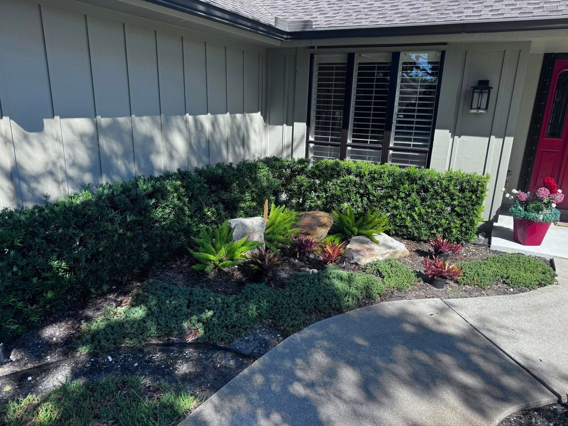 A landscaped house front with green hedges, rock accents, small shrubs, and a potted plant by a red door.