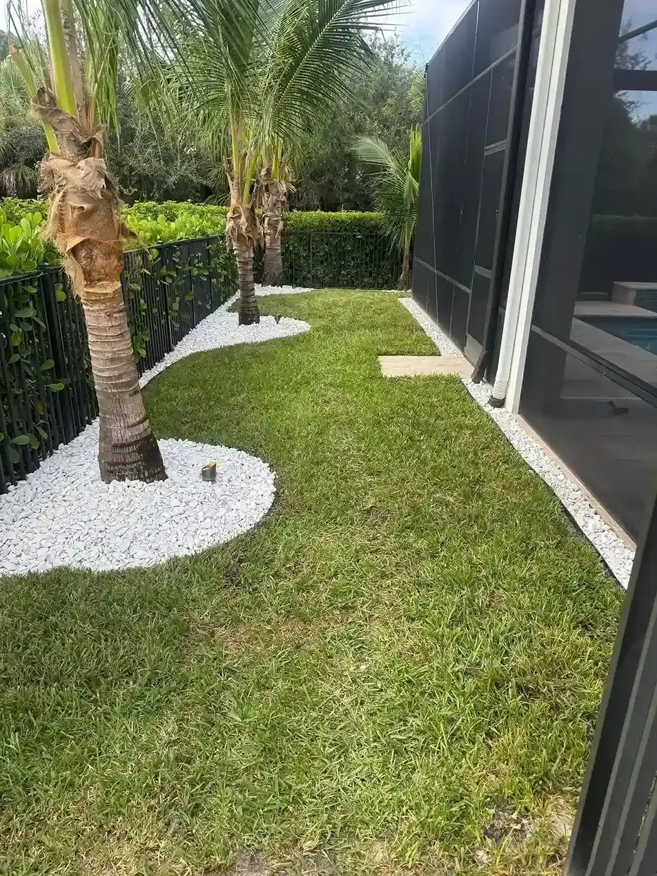 A strip of green lawn bordered by white landscaping rocks and palm trees next to a black home exterior.