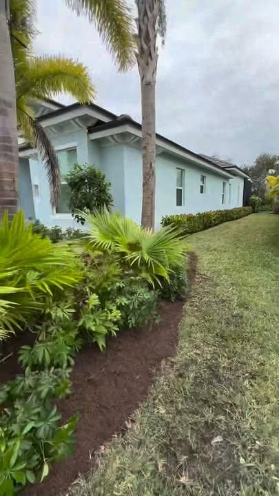 A light blue house sits behind a garden bed with palm plants and fresh mulch, bordered by a green lawn.