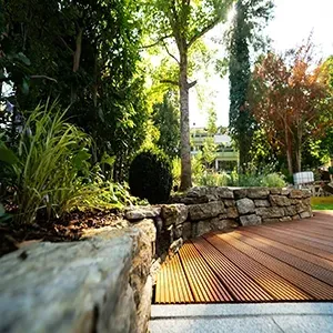 A garden featuring a stone retaining wall, wooden deck, and lush trees, with sunlight filtering through the canopy.