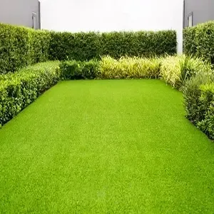 A rectangular patch of bright green grass surrounded by a lush, manicured hedge against a white wall.