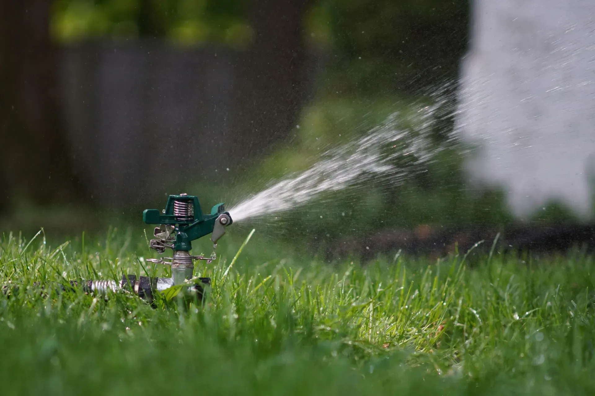 A green lawn sprinkler spraying a jet of water across a vibrant green grass lawn.