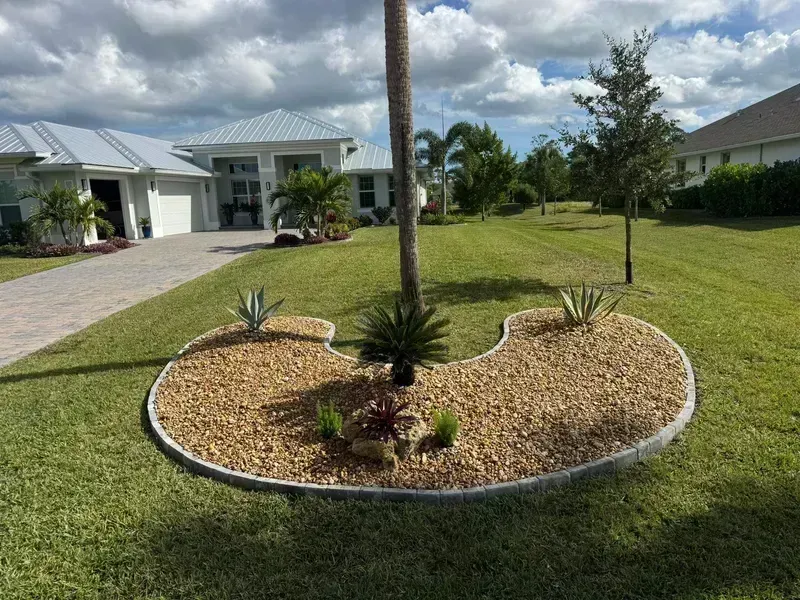 A U-shaped garden bed with tan stones and small plants surrounding a palm tree in a grassy residential front yard.