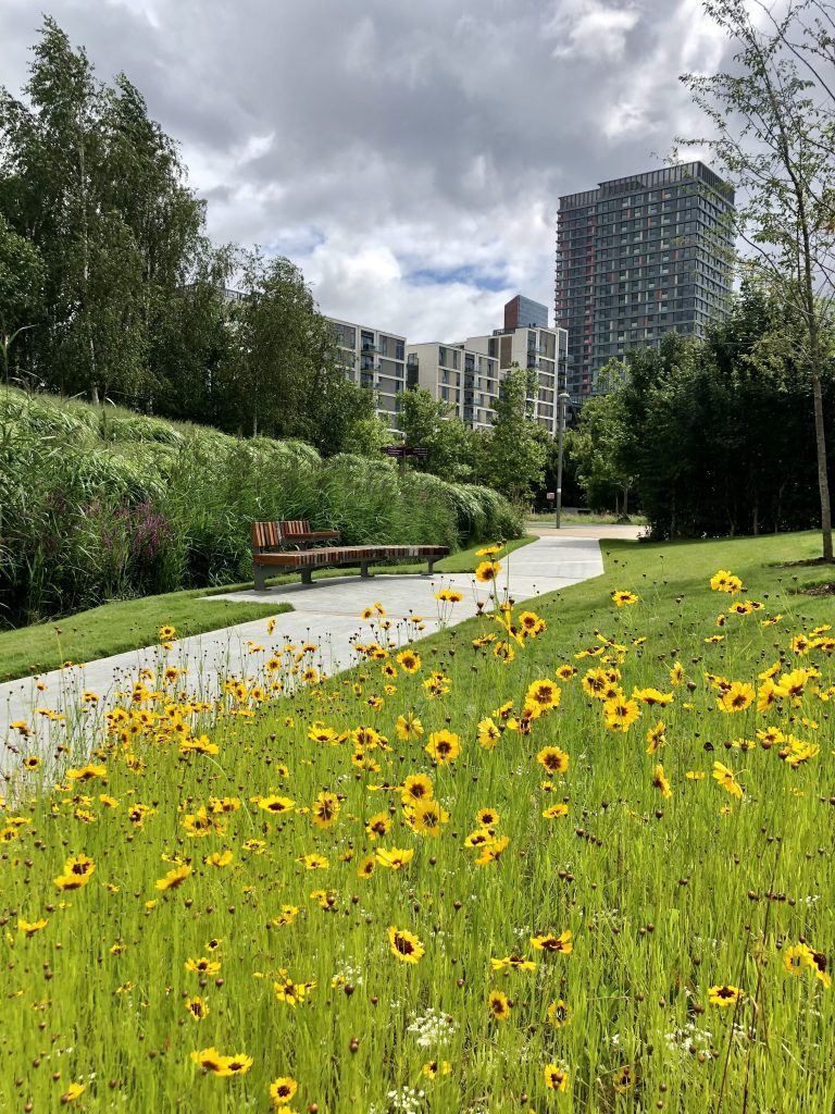 Park path with yellow flowers, benches, and modern buildings under a cloudy sky.
