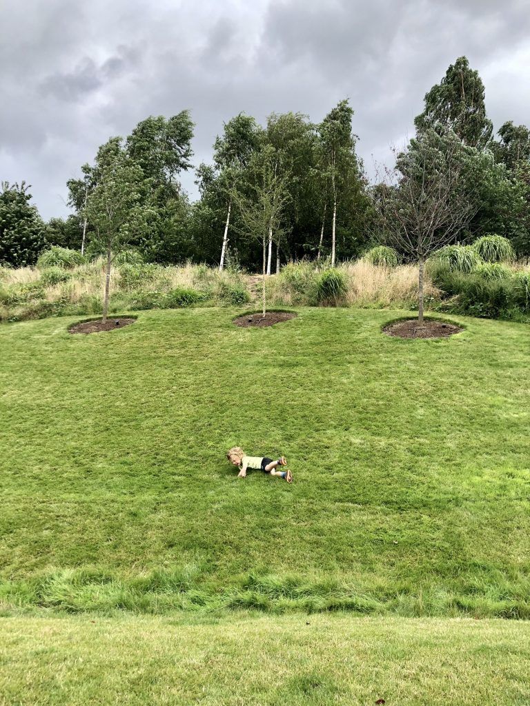 Dog relaxing on grassy hill with trees under a cloudy sky.