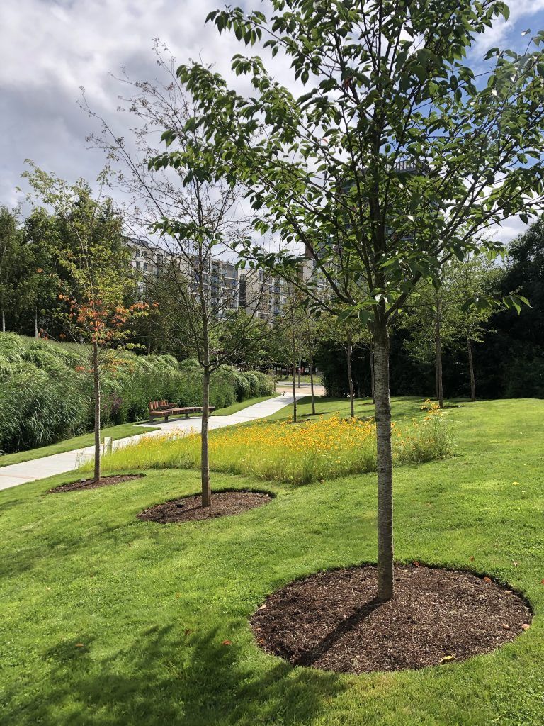 Trees in a park, with a path and flowers. Green grass, cloudy sky, buildings in the distance.