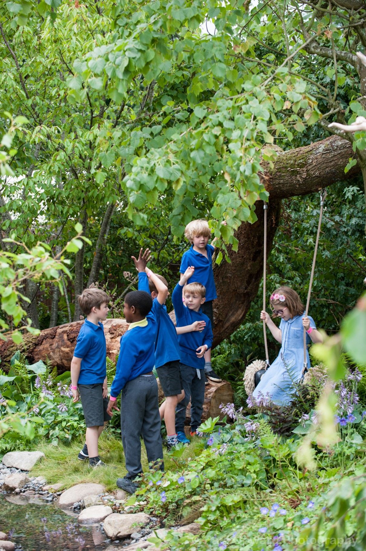 Children playing in a garden with a swing; some in blue shirts, others in grey; green foliage.