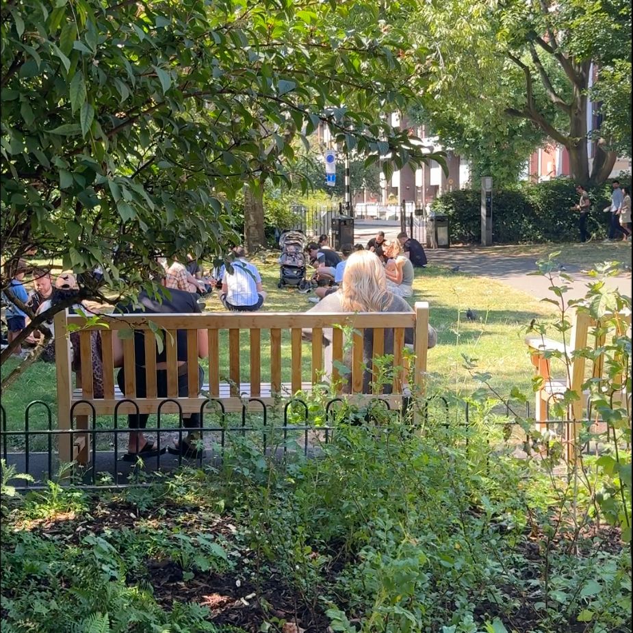 People sitting on park benches, shaded by trees, on a sunny day.