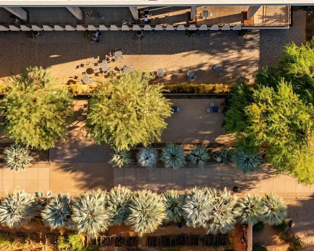 In the Commercial Project category, ASU Hayden Library by Trueform Landscape Architecture Studio 