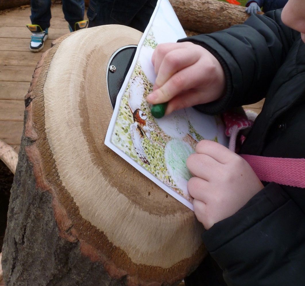 Child using a green marker on a worksheet attached to a tree stump outdoors.
