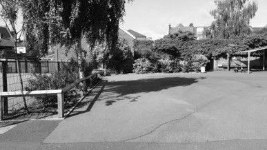 Black and white photo of a schoolyard with trees, a fence, and a covered seating area.