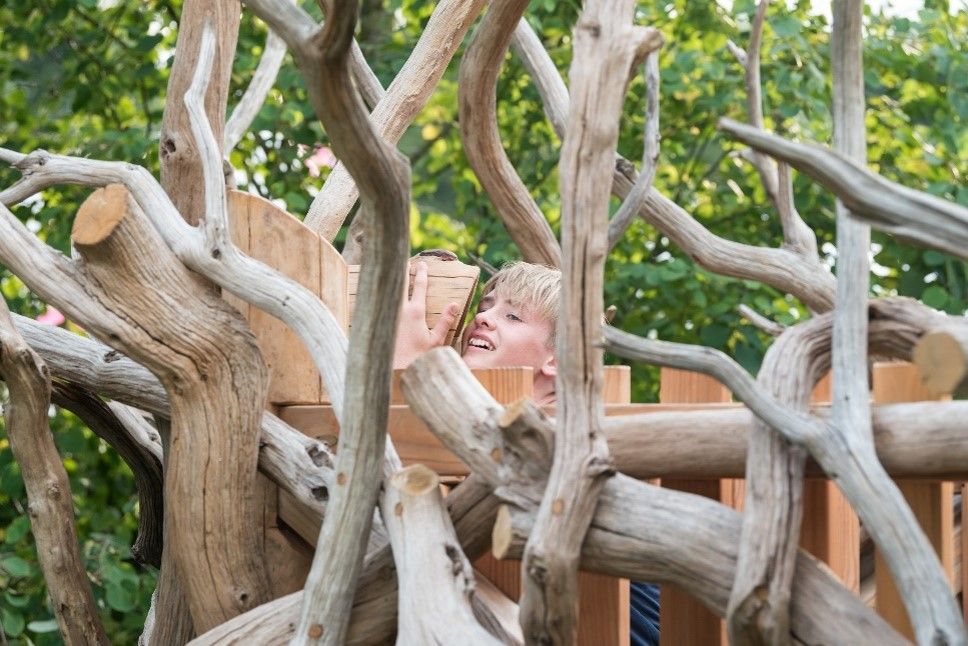 Person eating outdoors, behind tangled driftwood. Wooden fence, green trees in background.