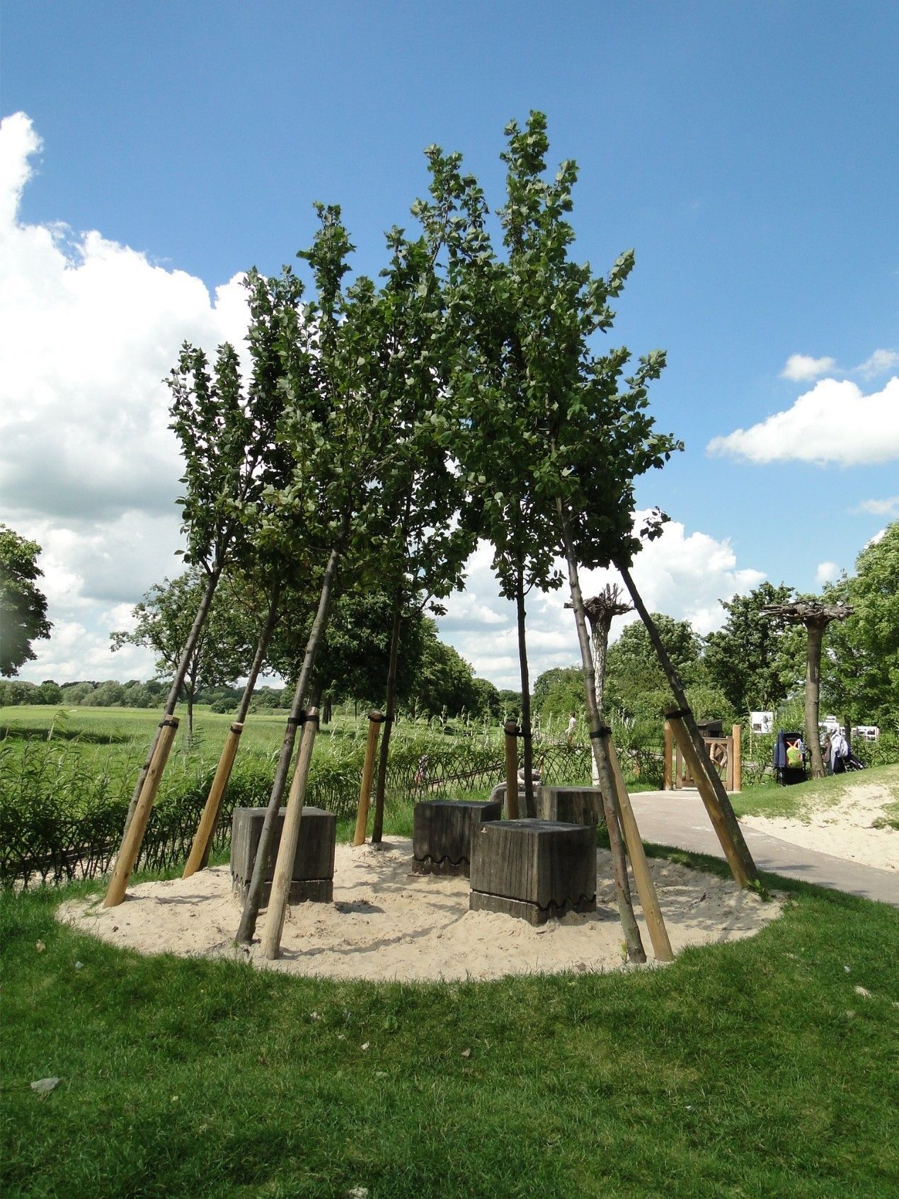Young trees supported by stakes surrounding square stone blocks in a sandy area, with a green grass lawn and sky.