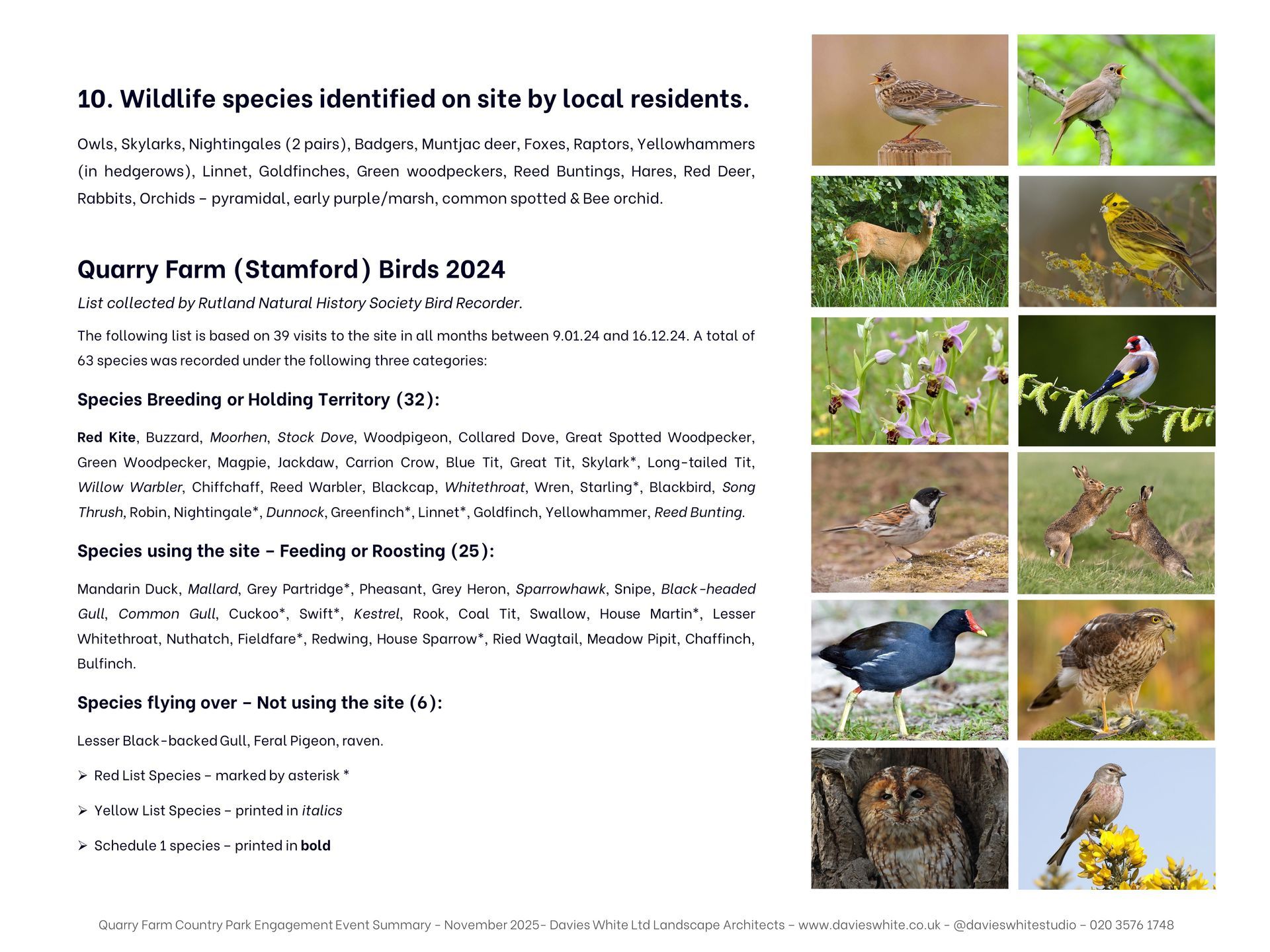 A flyer with text about local wildlife and a grid of 12 photos depicting various birds, animals, and wildflowers at Quarry Farm in Rutland
