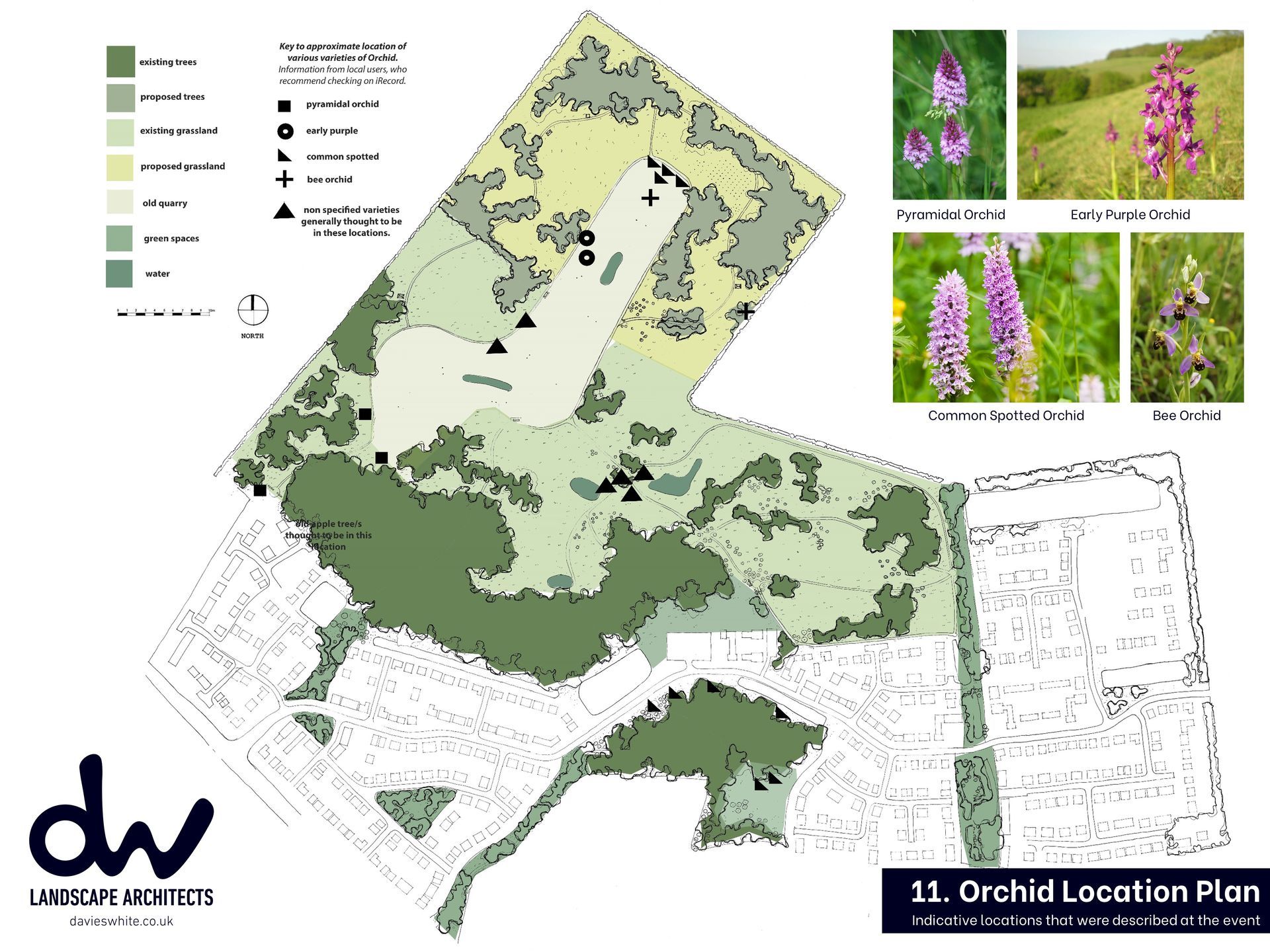 Quarry Farm - A site plan map showing orchid distribution across various land zones, with inset photos of four orchid species.